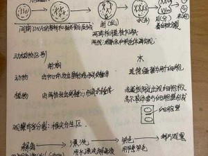 细胞分裂6：简明扼要攻略视频，轻松掌握最简单路线流程