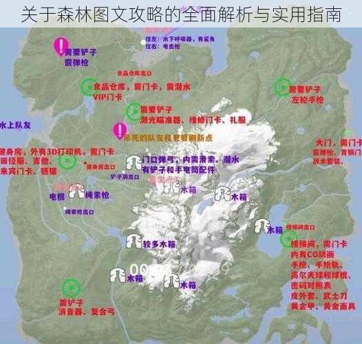 关于森林图文攻略的全面解析与实用指南